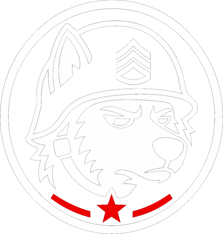 Skeptical Veteran logo